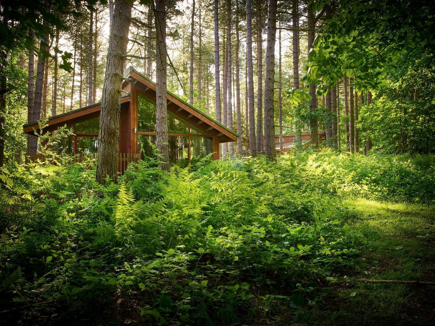 Blackwood Forest Cabins - Forest Holidays Popham Exterior foto
