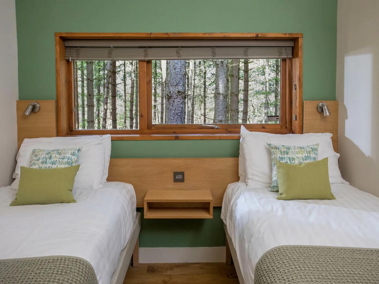 Blackwood Forest Cabins - Forest Holidays Popham Exterior foto